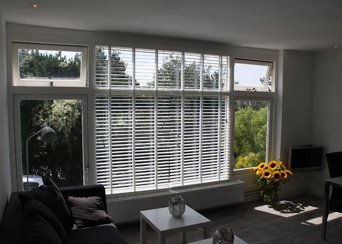 De Zeester Zandvoort