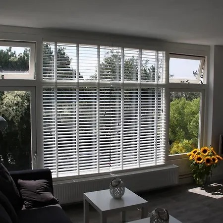 De Zeester 赞德沃特