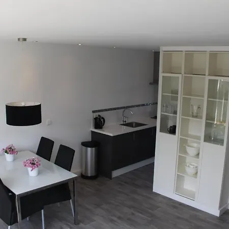 De Zeester * 赞德沃特