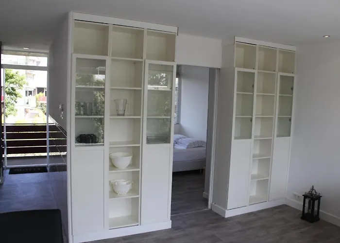 De Zeester Zandvoort